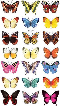 many different colored butterflies on a white background