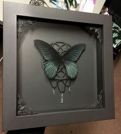 a butterfly in a shadow box with beads and chains hanging from it's wings