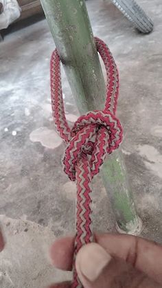 a person holding onto a rope attached to a tree branch in the middle of an outdoor area