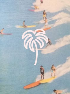 several people on surfboards in the ocean with palm trees and waves behind them,