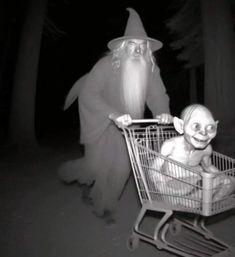 an old man pushing a baby in a shopping cart with a wizard on it's back