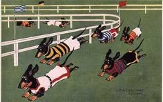 an image of a group of dachshunds racing around the track in uniforms