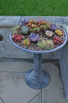 a cement planter filled with succulents and rocks