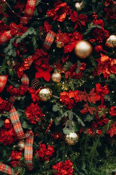 the christmas tree is decorated with red and gold ornaments, plaid bows, and poinsettis