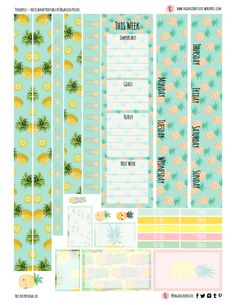 the pineapple planner sticker kit