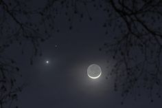 the moon and venus are seen through some trees in the night sky, with one light on