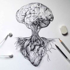 a pencil drawing of a human brain with roots and leaves growing out of the top