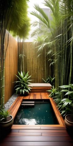 a small pool surrounded by bamboo trees and plants in the middle of a wooden deck