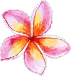 a drawing of a flower with orange and pink petals on it's center piece