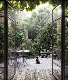 a dog sitting in the middle of a wooden decked area with an open door