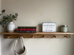 a shelf with some books and a bag on it next to a potted plant