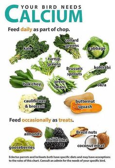 a poster showing the different types of foods that are high in vitamins and calories