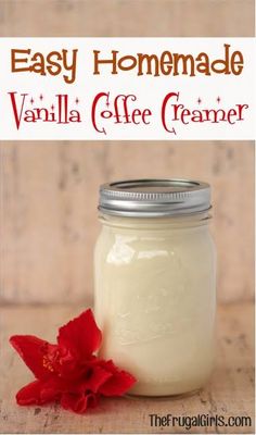 an easy homemade vanilla coffee creamer is in a mason jar with a red flower