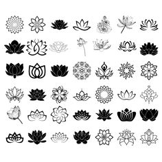 a bunch of black and white flowers on a white background, all in different shapes