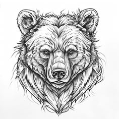 a black and white drawing of a bear's face