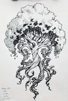 an ink drawing of a tree with roots