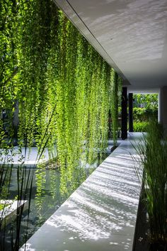 the instagram page on instagram shows an image of a walkway and water feature