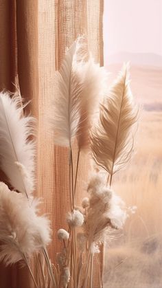 some white feathers are in a vase on a window sill