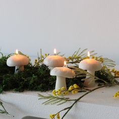 candles are lit in the middle of a moss covered table