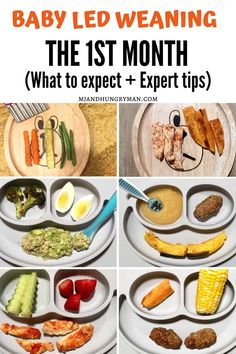 baby led weaning the 1st month what to expect and expert tips