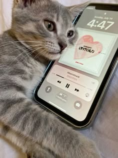 a cat laying on top of a bed next to an iphone with music playing on it