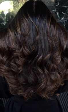 Honey Blonde Balayage On Black Hair, Color 2025, Black Hair Balayage, Highlights Curly Hair, Budapest Travel, Brown Curly Hair, Brown Hair Looks, Brown Hair Inspo, Chocolate Hair