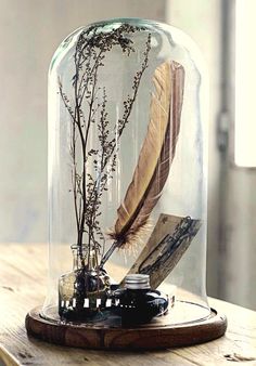 a glass dome with some plants and feathers inside it on a wooden table in front of a window