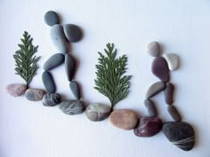 some rocks and plants are arranged in the shape of letters i - v on a white surface