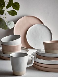 a table topped with plates and cups next to a plant