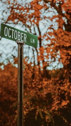 a green street sign sitting next to a forest filled with red and orange trees in the background