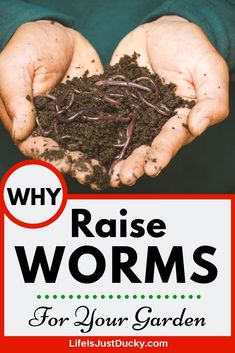 hands holding soil with the words why raise worms for your garden