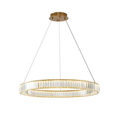 Bethel International Canada - LED Chandelier - Gold- Union Lighting Luminaires Decor Halo Chandelier, Circle Chandelier, Gold Chandelier, Chandelier In Living Room, Lighting Store, Led Chandelier, Modern Chandelier, Cool Lighting, Living Design