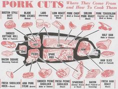 an advertisement for pork cuts from the 1950's, with instructions on how to cut them