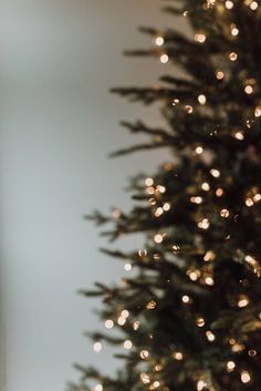 a cat sitting on the floor next to a christmas tree with lights all over it