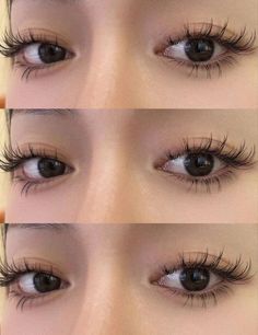 Soft Manga Lashes, Lashes On Asian Eyes, Monolid Eyelash Extensions, Soft Cat Eye Lash Extensions, Monolid Lash Extensions, Asian Lash Extensions, Manga Lashes Extensions, Eyelashes Asian, Prom Lashes