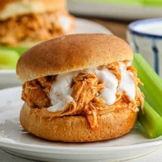 a pulled pork sandwich on a plate with celery sticks and a bowl in the background