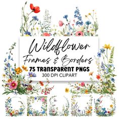 wildflower frames and borders with different flowers