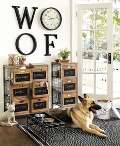 a dog laying on top of a rug in front of a wall clock and drawers