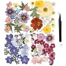 an assortment of colorful flowers are shown with a black pen on the bottom right corner