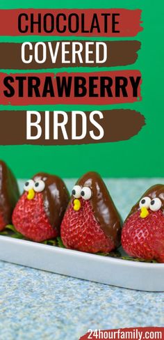 chocolate covered strawberries in the shape of angry birds on a plate with text overlay