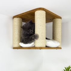 a cat sitting on top of a scratching post