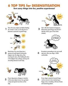 a poster with instructions on how to use dogs