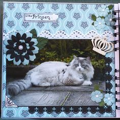 a cat is laying on the ground in front of a blue and white frame with flowers