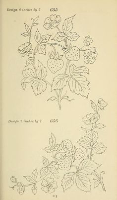 an old book with drawings of strawberries and leaves