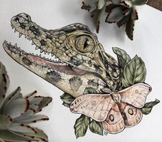 a drawing of an alligator with a butterfly on it's head and leaves around its neck