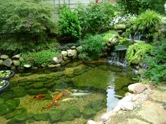 a fish pond surrounded by rocks and plants