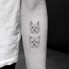 two small dogs are shown on the arm