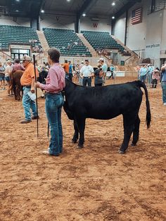 a woman is holding the reigns of a black cow in an arena with other people