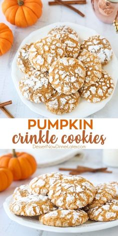 Pumpkin Crinkle Cookies are light, soft, and cake-like with warm pumpkin spices. An easy fall cookie coated in powdered sugar that cracks as it bakes. Pumpkin Crinkle Cookies, Fall Deserts, Pumpkin Spices, Seasonal Baking, Crinkle Cookies, Crisp Autumn