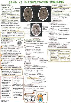 the brain is shown with information about it